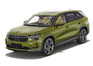 Ворсовые коврики на Skoda Kodiaq II 2023 - 2025 в Севастополе
