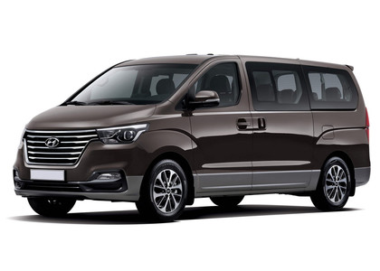 Ворсовые коврики на Hyundai H1 II 2007 - 2022 в Севастополе