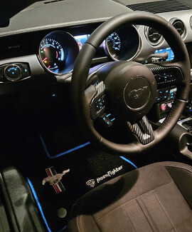 Коврики на Ford Mustang VI 2013 - 2023 в Севастополе Коврики на Ford Mustang VI 2013 - 2023 в Севастополе